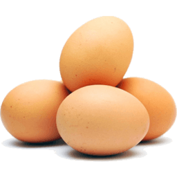 Como conservar ovos